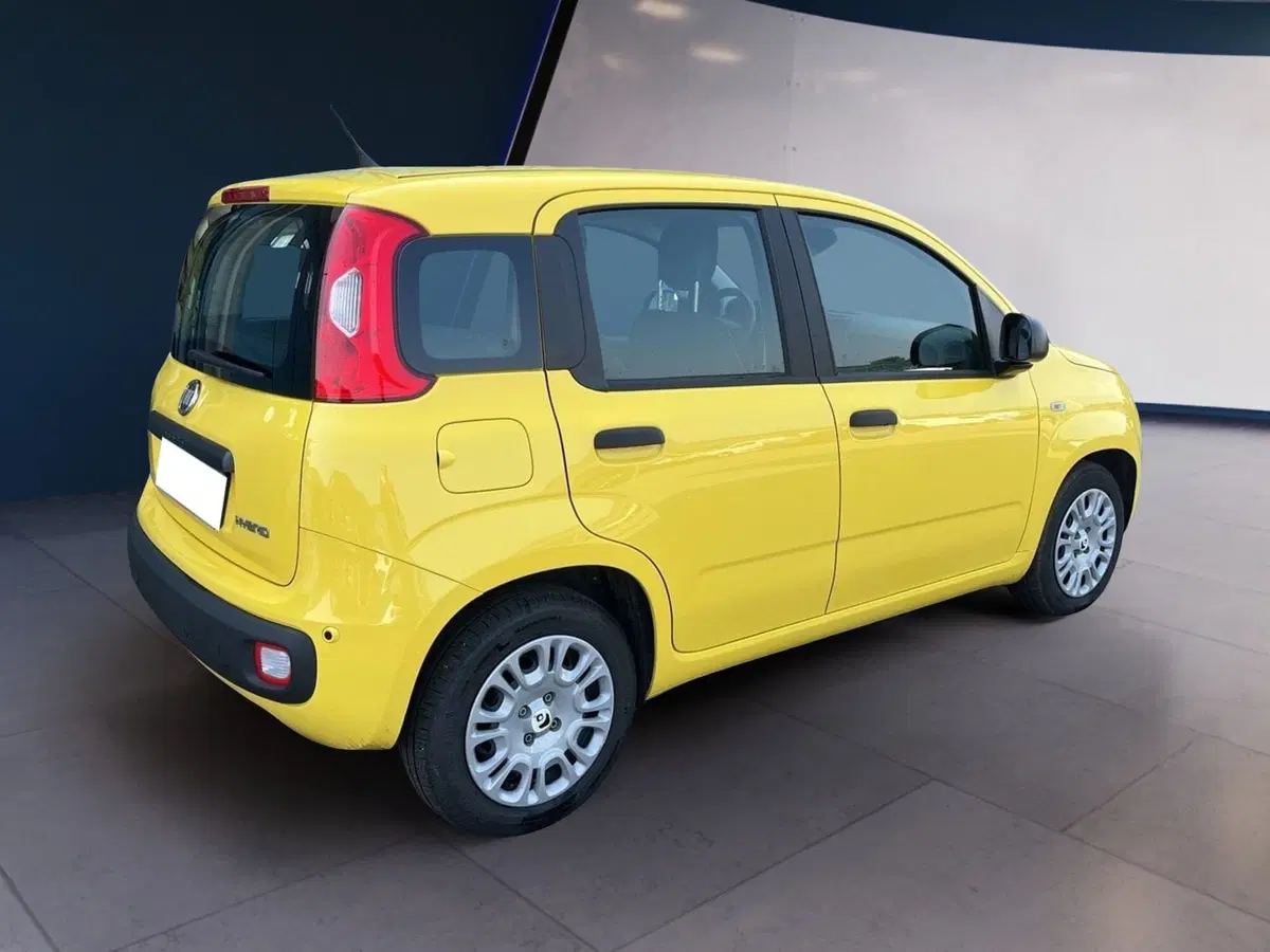 Fiat Pandina usata a Torino (4)