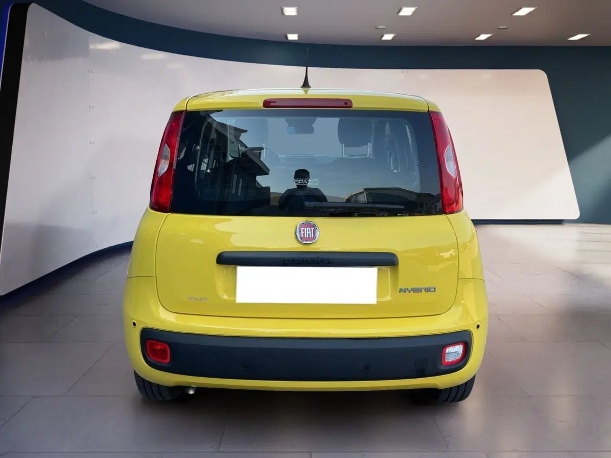 Fiat Pandina usata a Torino (5)