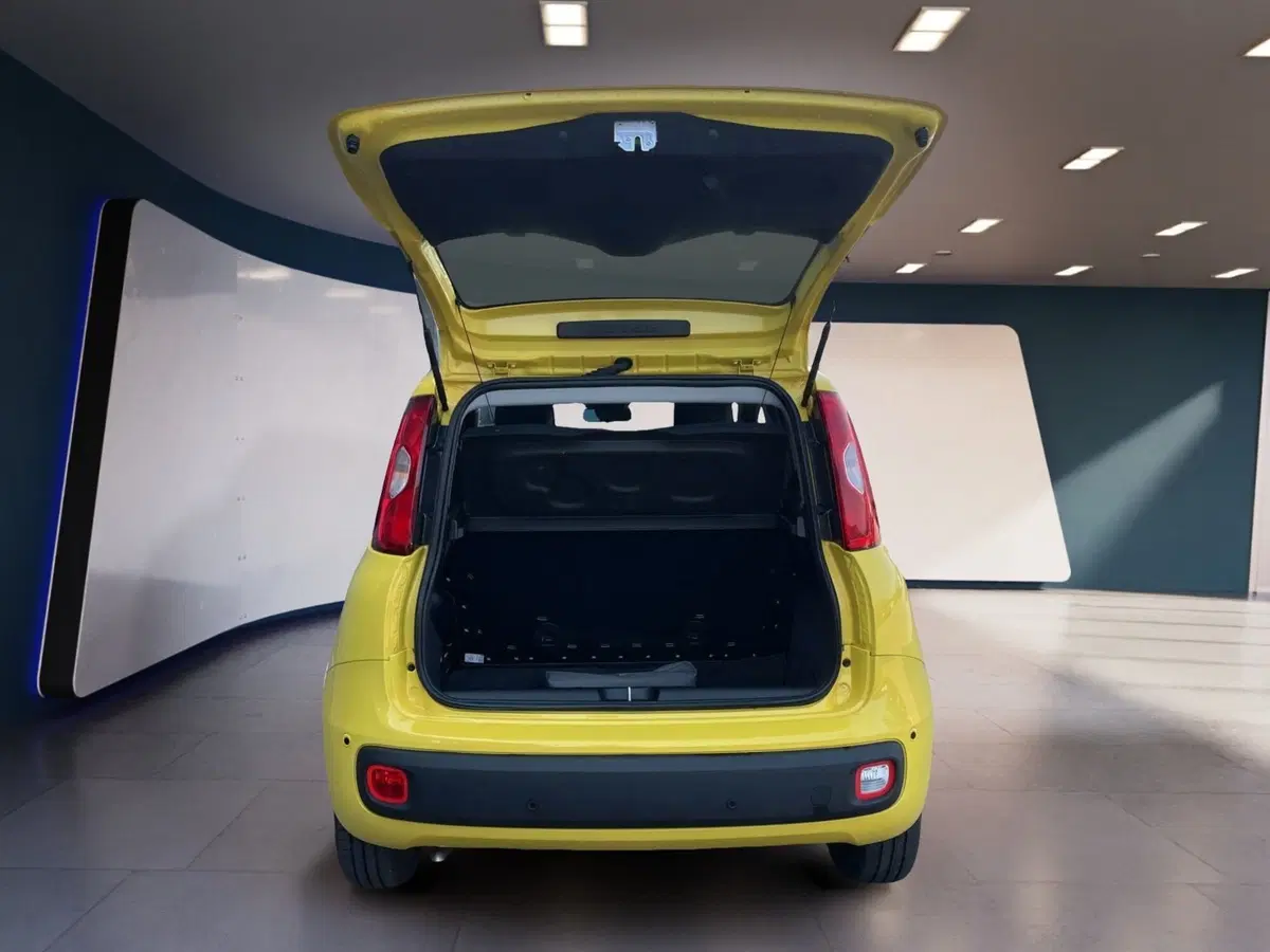 Fiat Pandina usata a Torino (7)