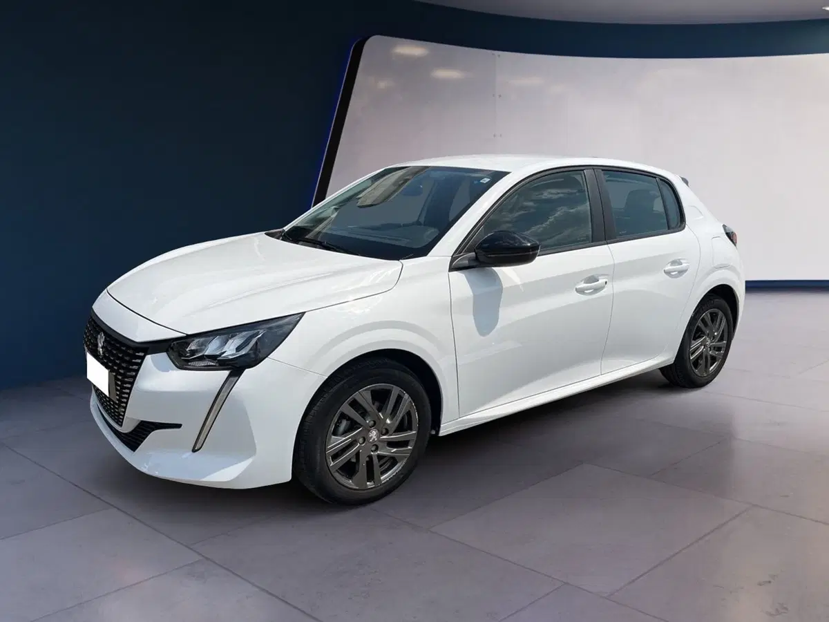 Peugeot 208 usata a Torino (2)