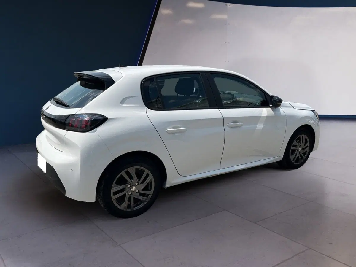 Peugeot 208 usata a Torino (4)