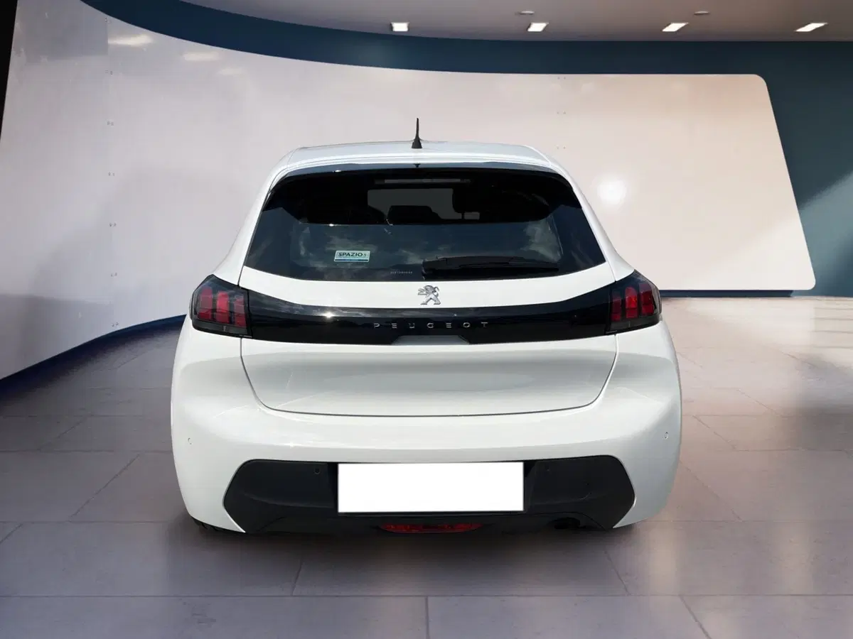 Peugeot 208 usata a Torino (5)