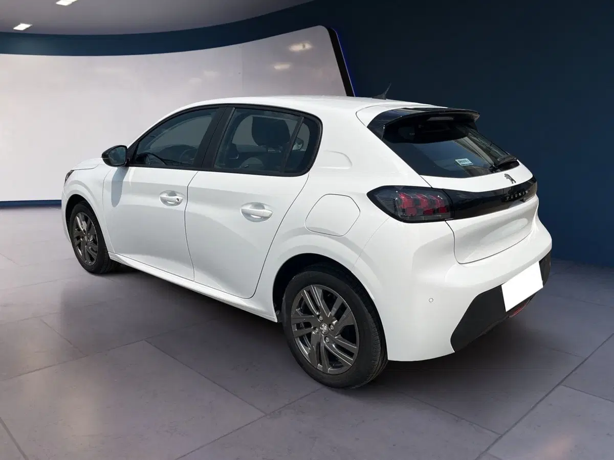 Peugeot 208 usata a Torino (6)