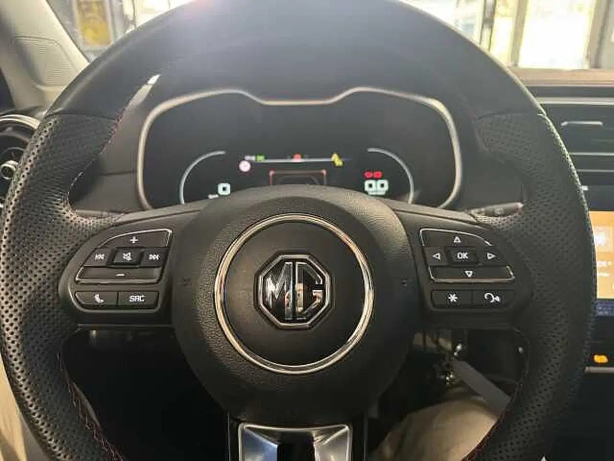 Mg ZS usata a Aosta (8)
