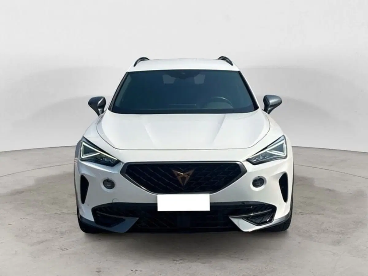 Cupra Formentor usata a Vicenza (7)