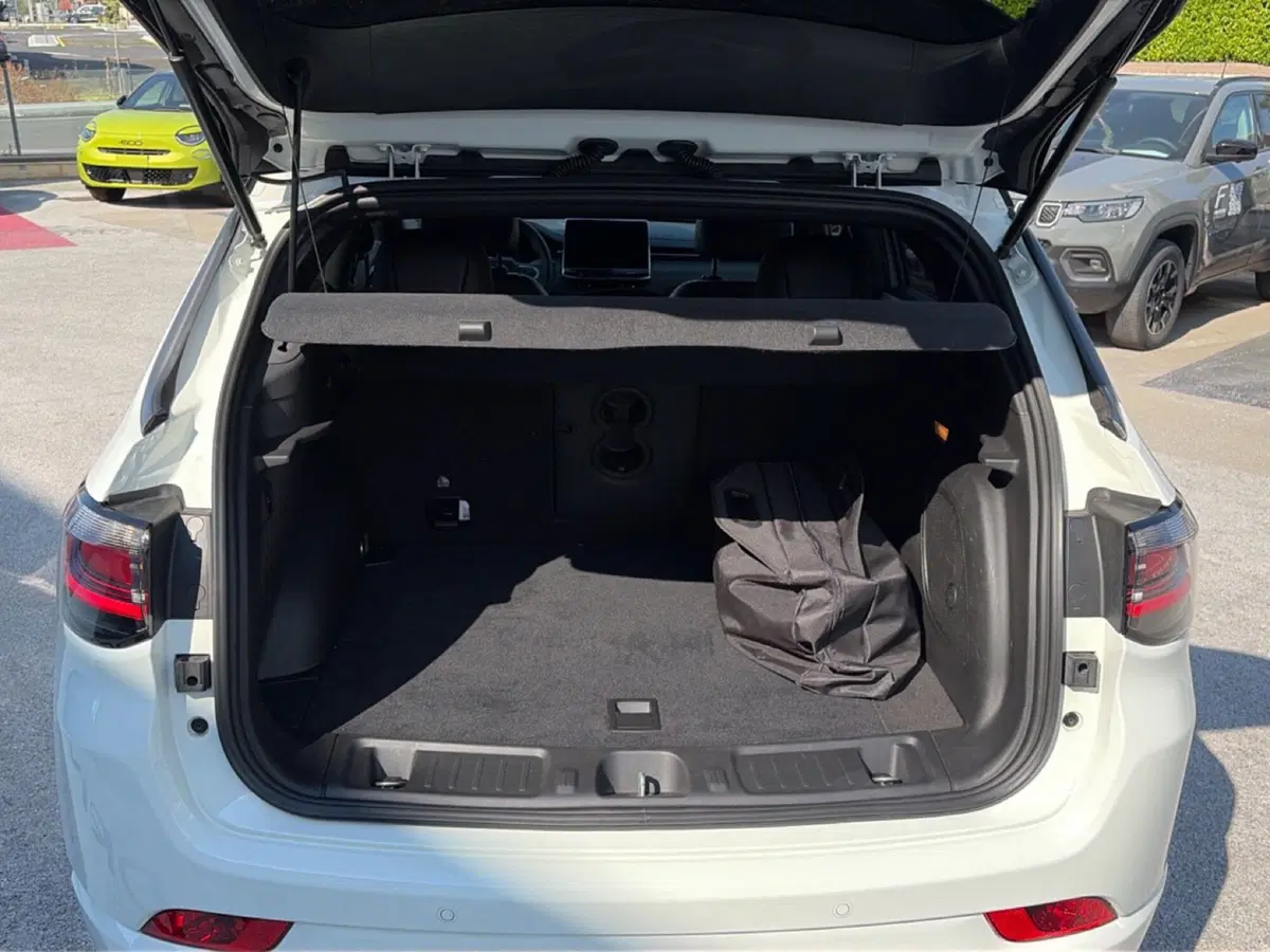 Jeep Compass usata a Campobasso (14)