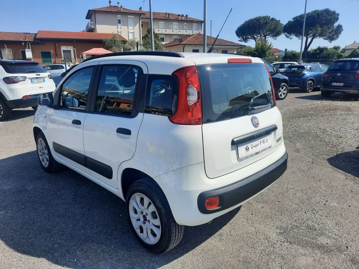 Fiat Panda usata a La Spezia (5)