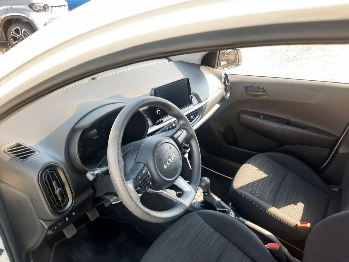 Kia Picanto usata a La Spezia (14)