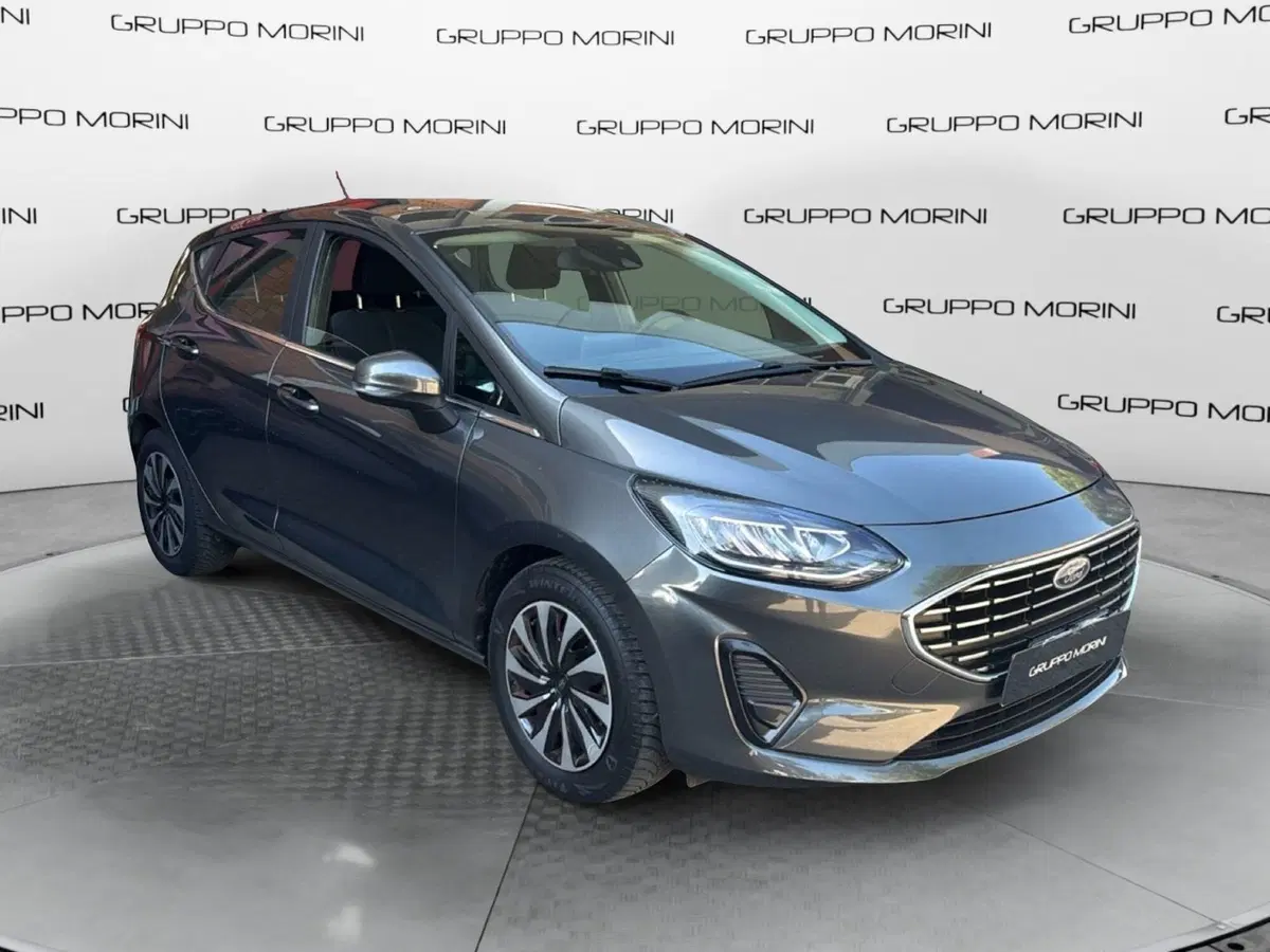 Ford Fiesta usata a Bologna (2)