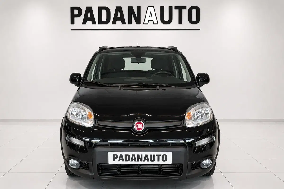 Fiat Panda usata a Ferrara