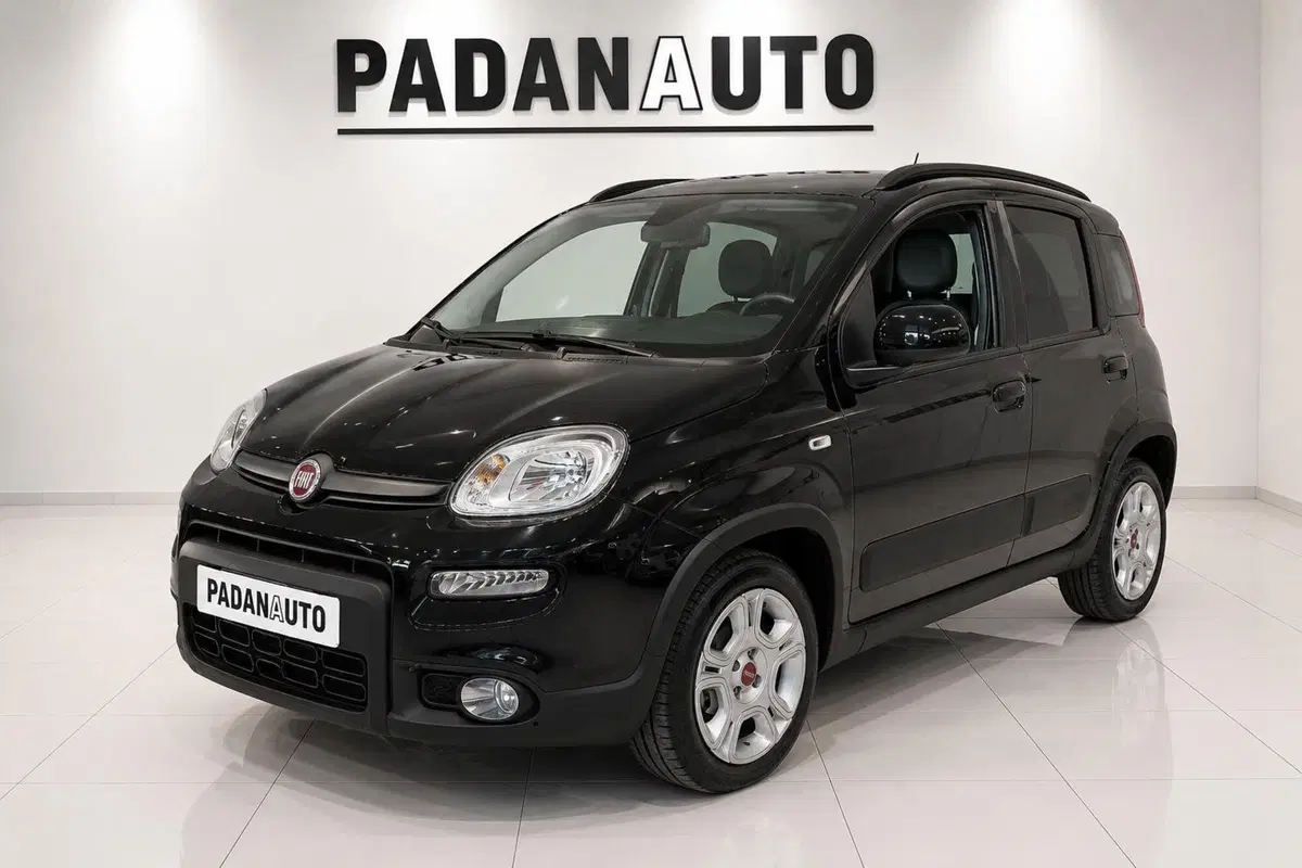 Fiat Panda usata a Ferrara (2)