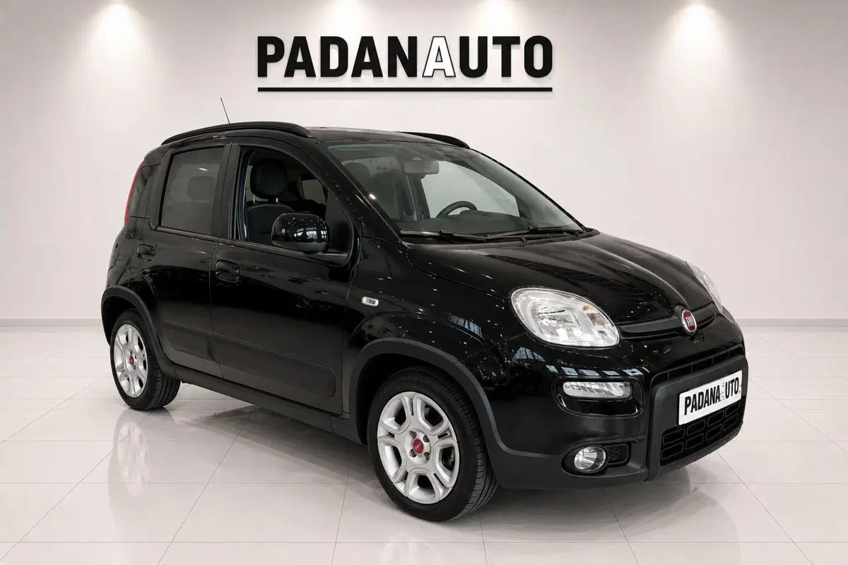 Fiat Panda usata a Ferrara (3)