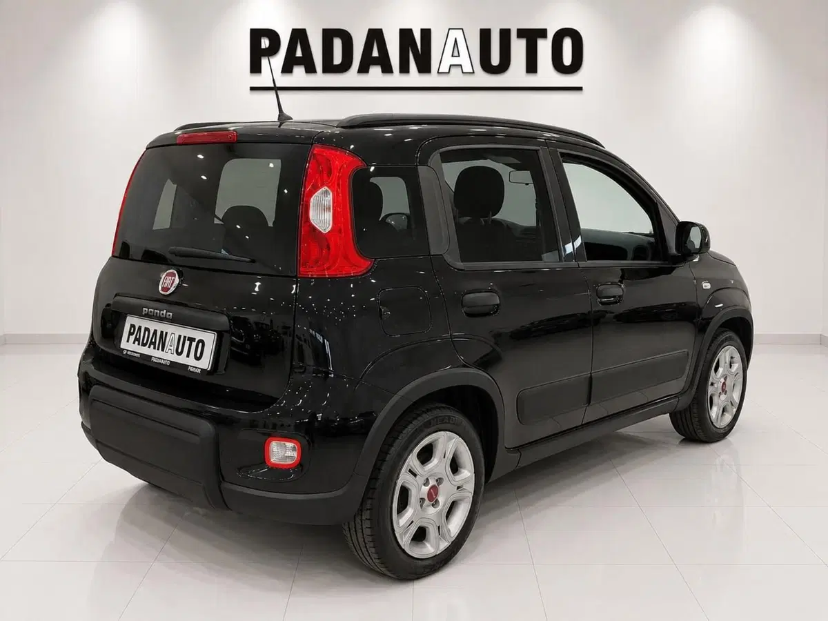 Fiat Panda usata a Ferrara (6)