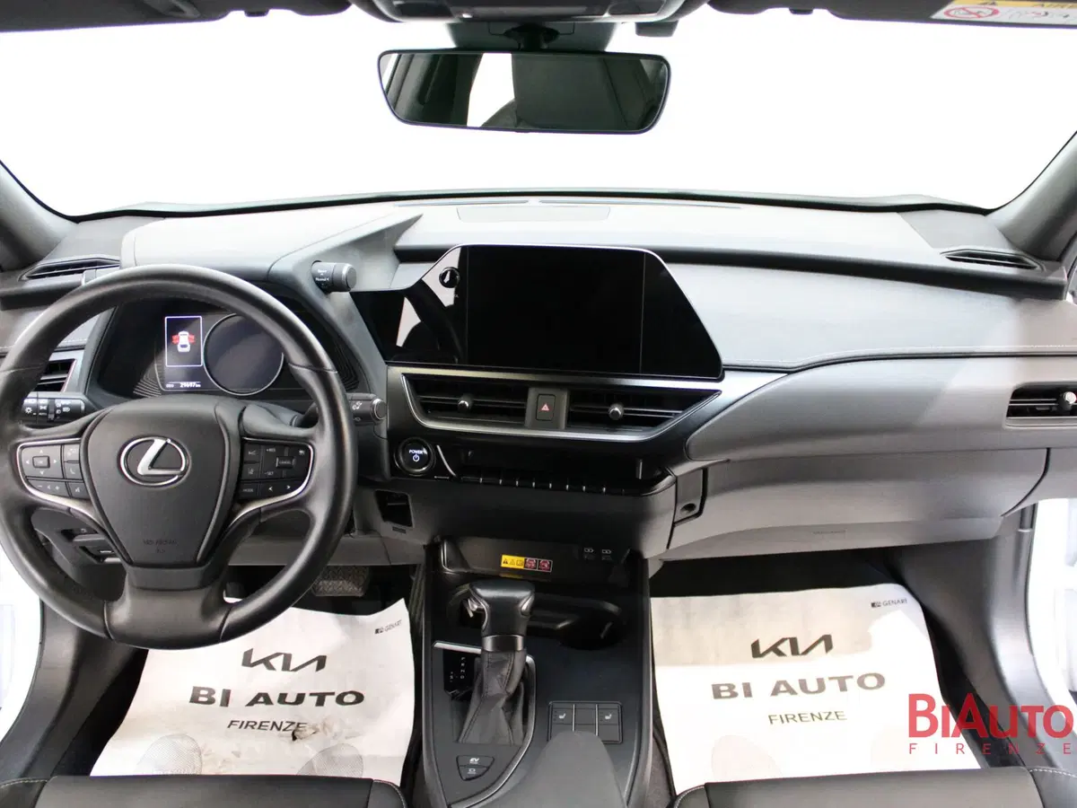 Lexus UX usata a Firenze (10)