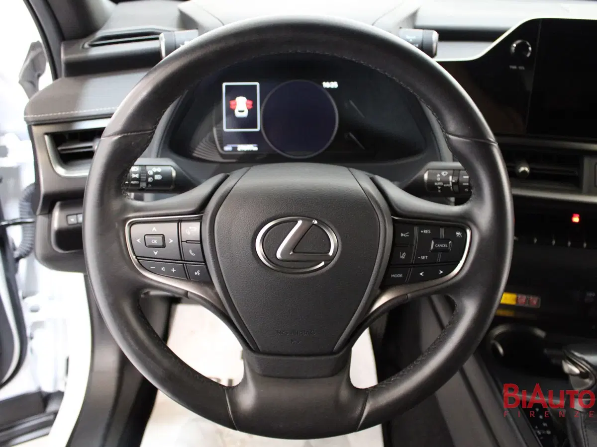Lexus UX usata a Firenze (11)