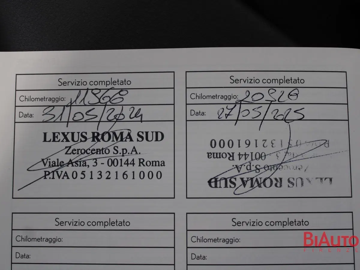 Lexus UX usata a Firenze (18)