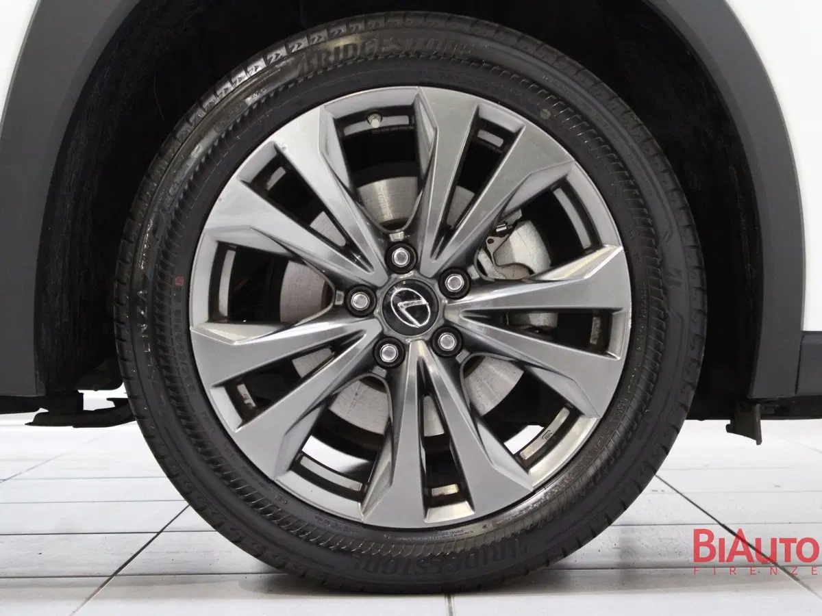 Lexus UX usata a Firenze (20)