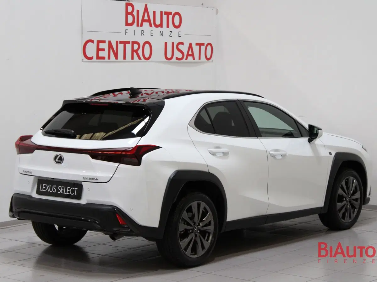 Lexus UX usata a Firenze (3)