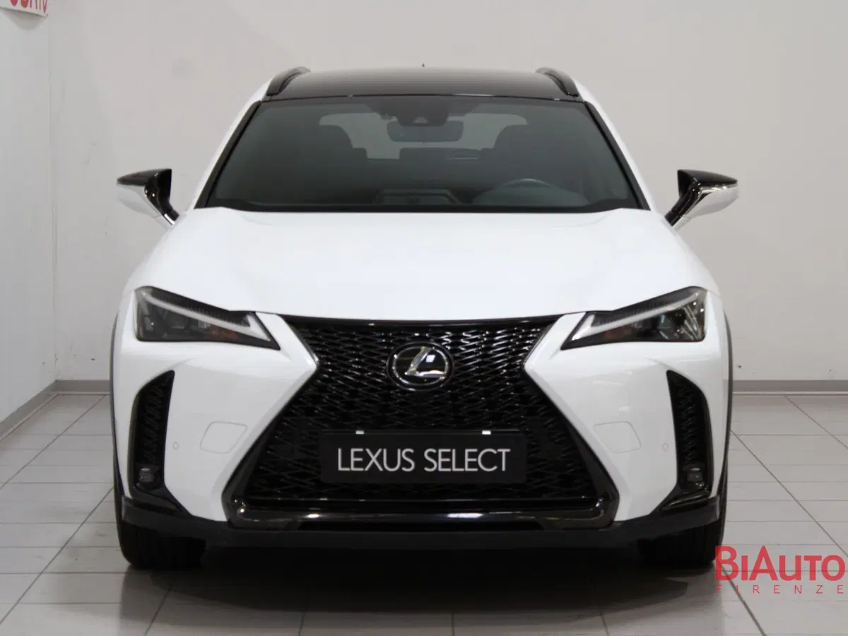 Lexus UX usata a Firenze (4)