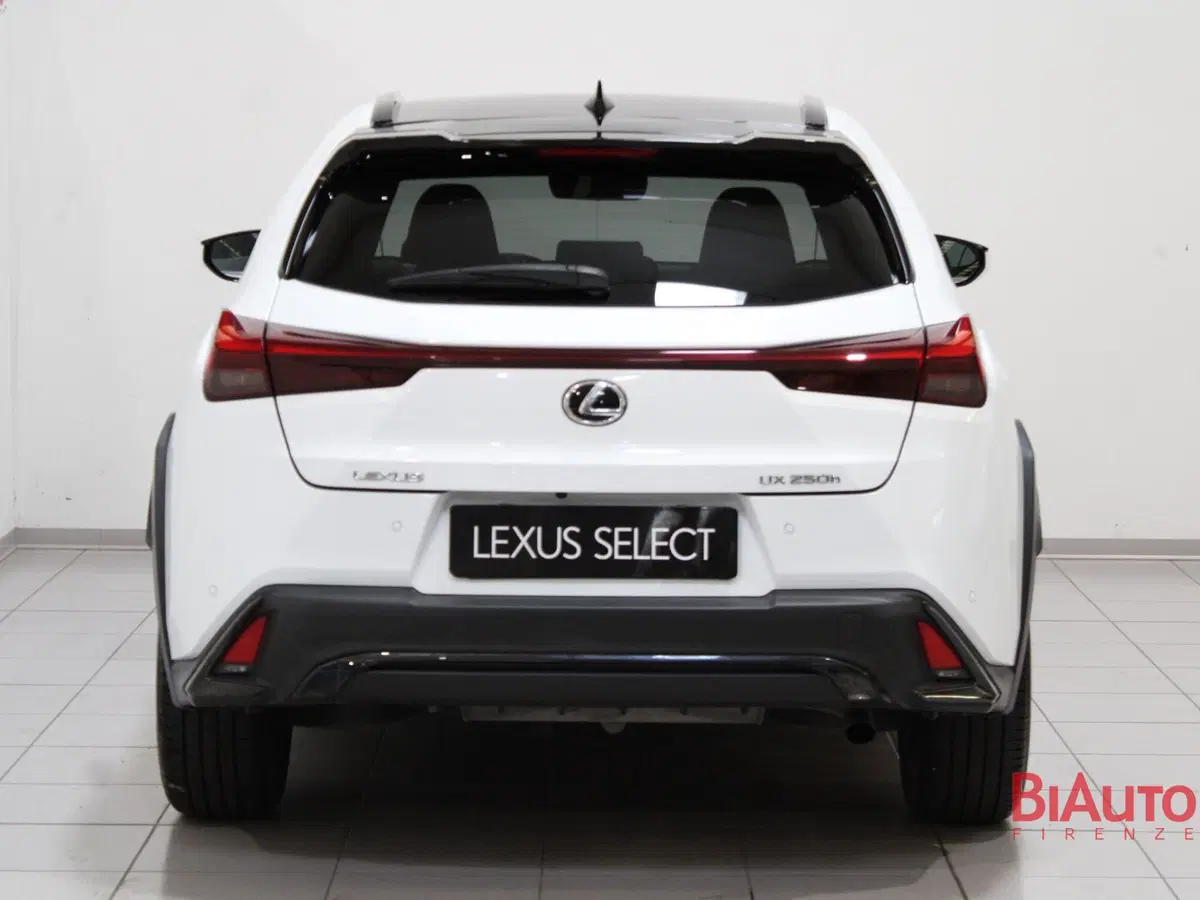 Lexus UX usata a Firenze (5)