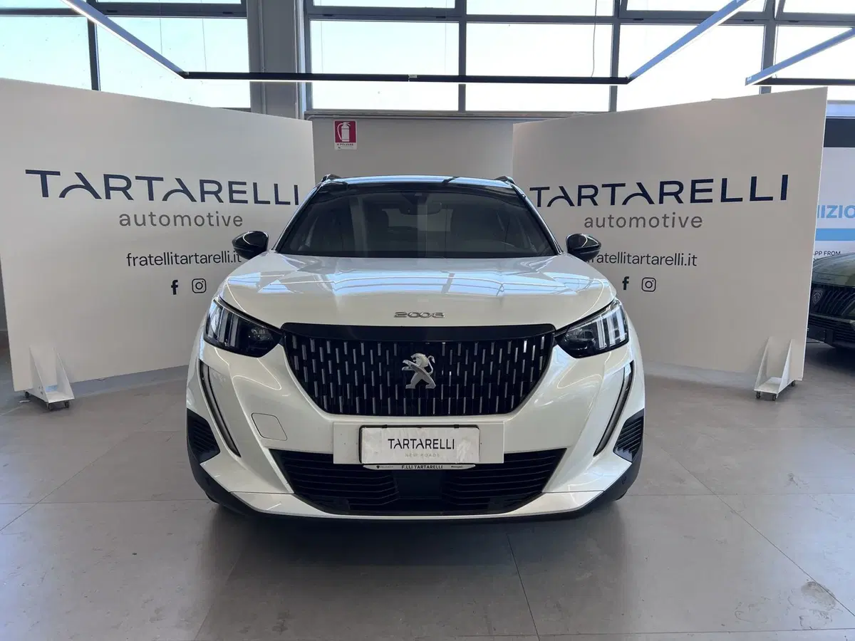 Peugeot 2008 usata a Bari (2)