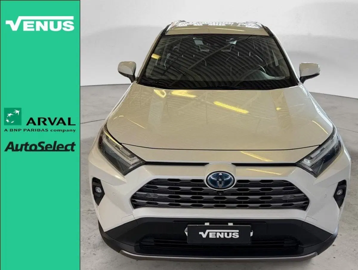 Toyota Rav4 usata a Monza e Brianza