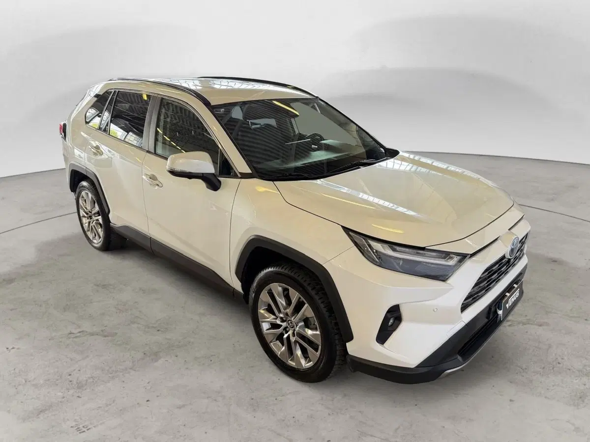 Toyota Rav4 usata a Monza e Brianza (18)