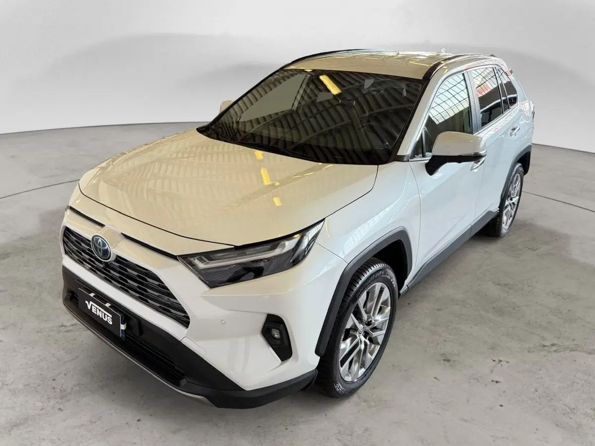 Toyota Rav4 usata a Monza e Brianza (2)