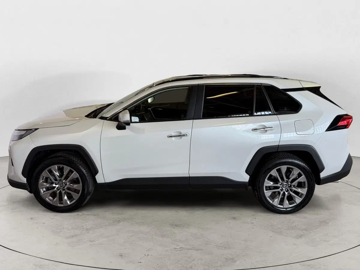 Toyota Rav4 usata a Monza e Brianza (3)