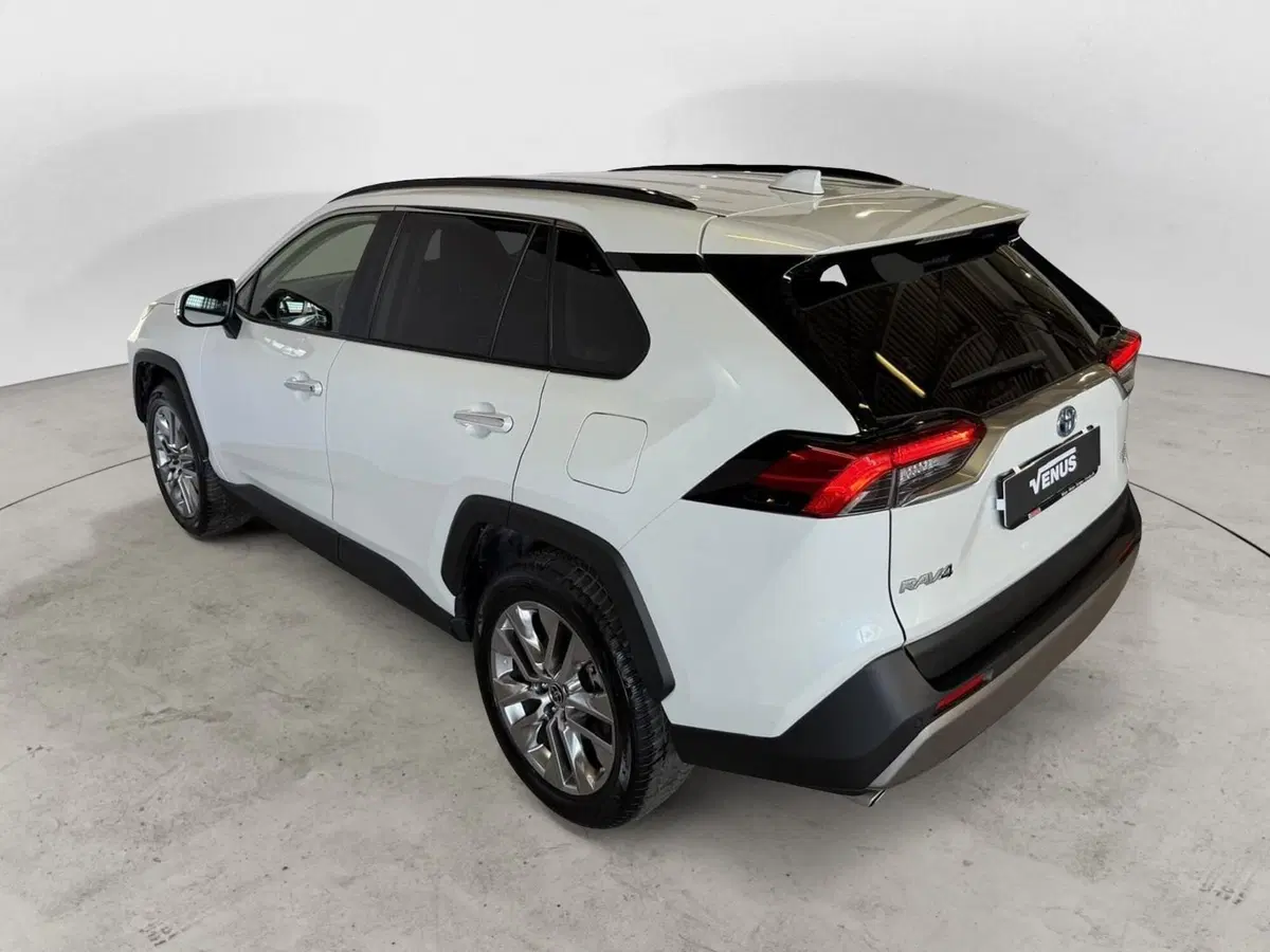 Toyota Rav4 usata a Monza e Brianza (4)