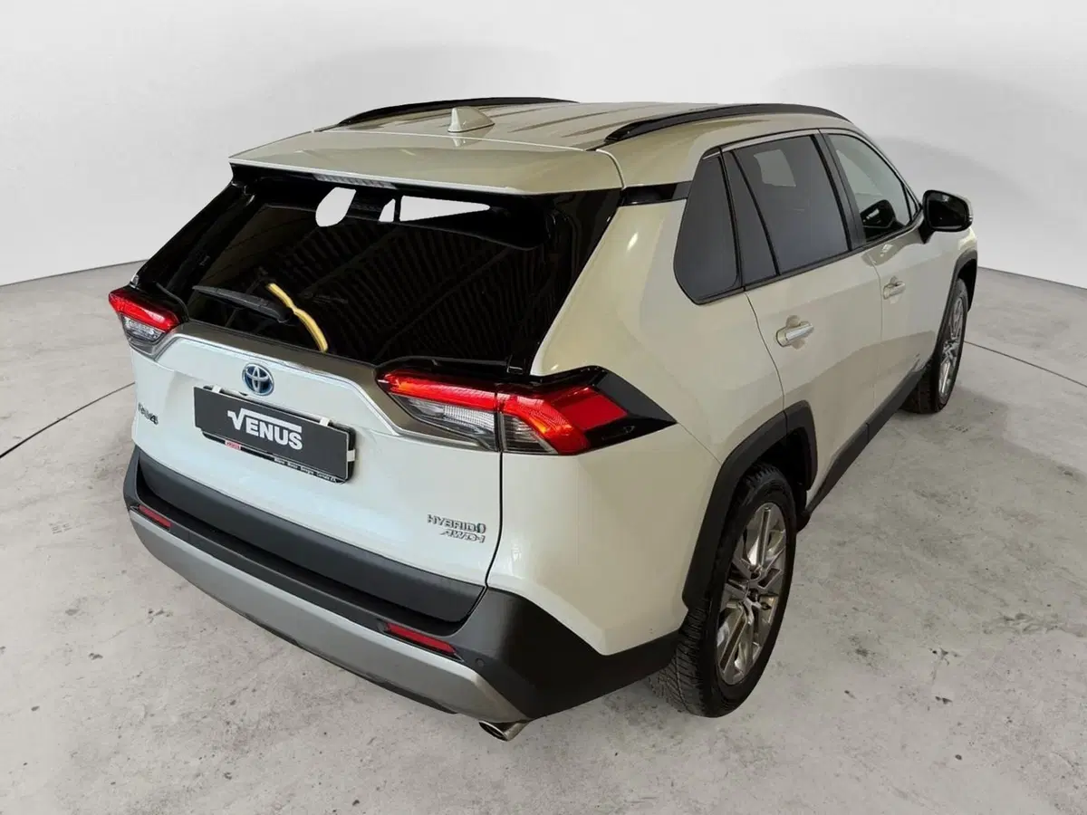 Toyota Rav4 usata a Monza e Brianza (6)