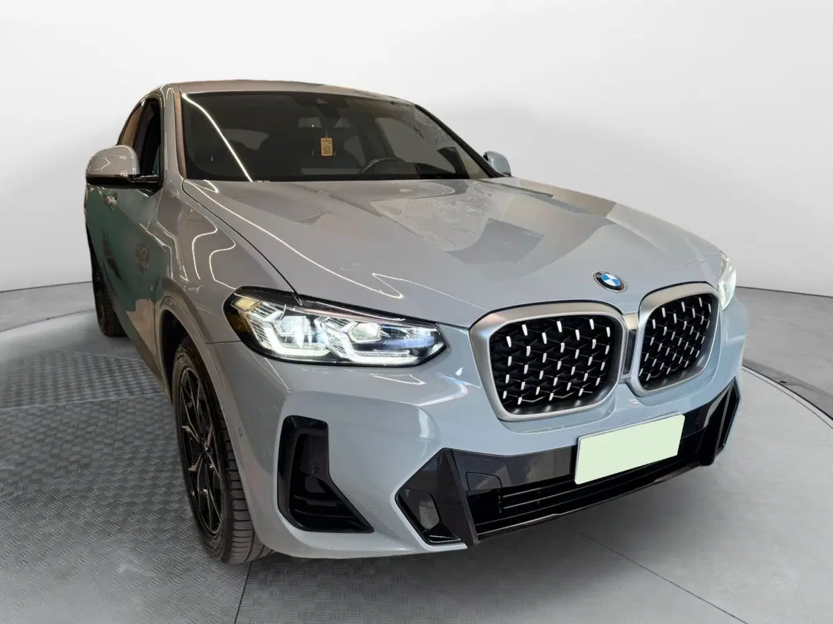 BMW X4 usata a Salerno