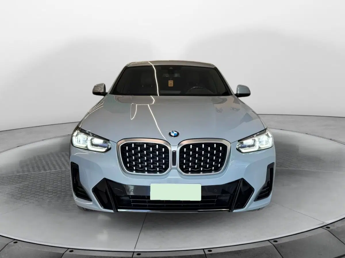 BMW X4 usata a Salerno (2)