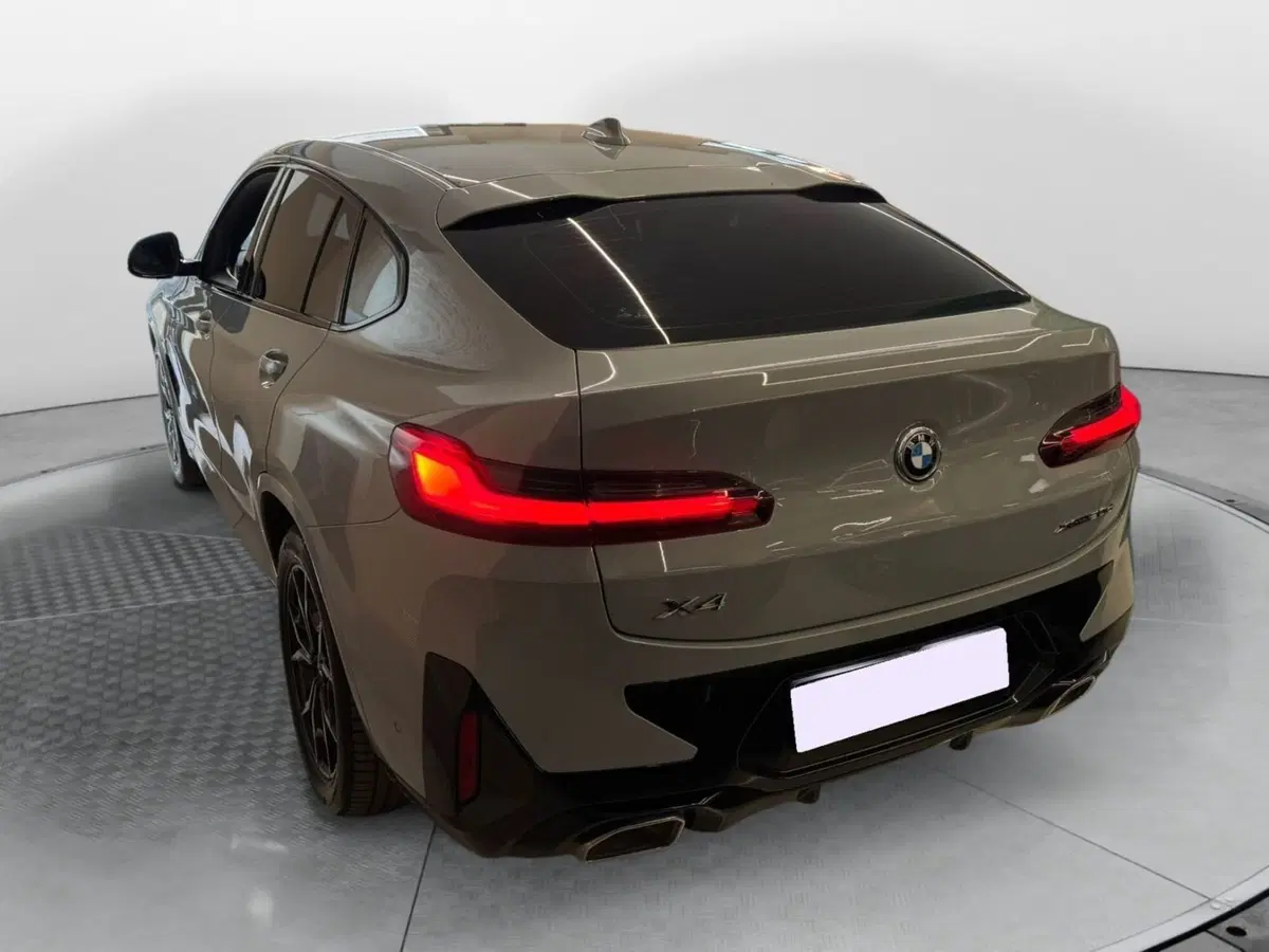 BMW X4 usata a Salerno (3)