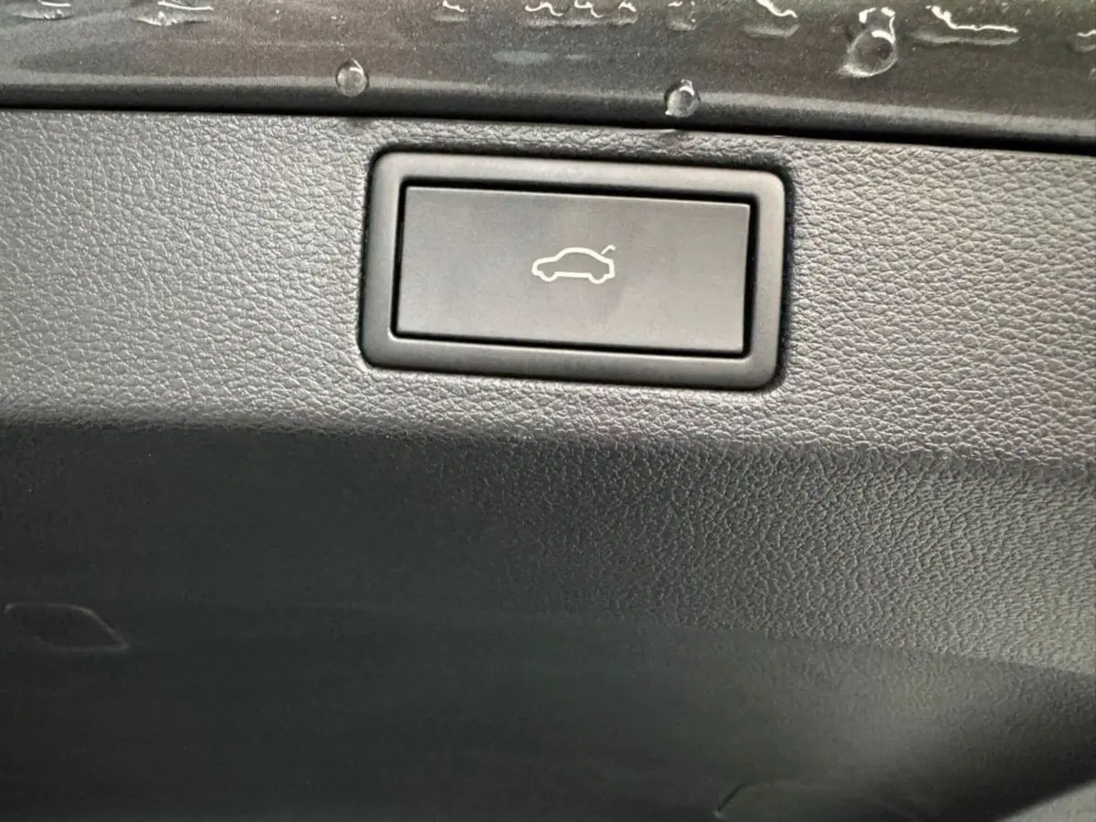 Skoda Scala usata a Salerno (15)