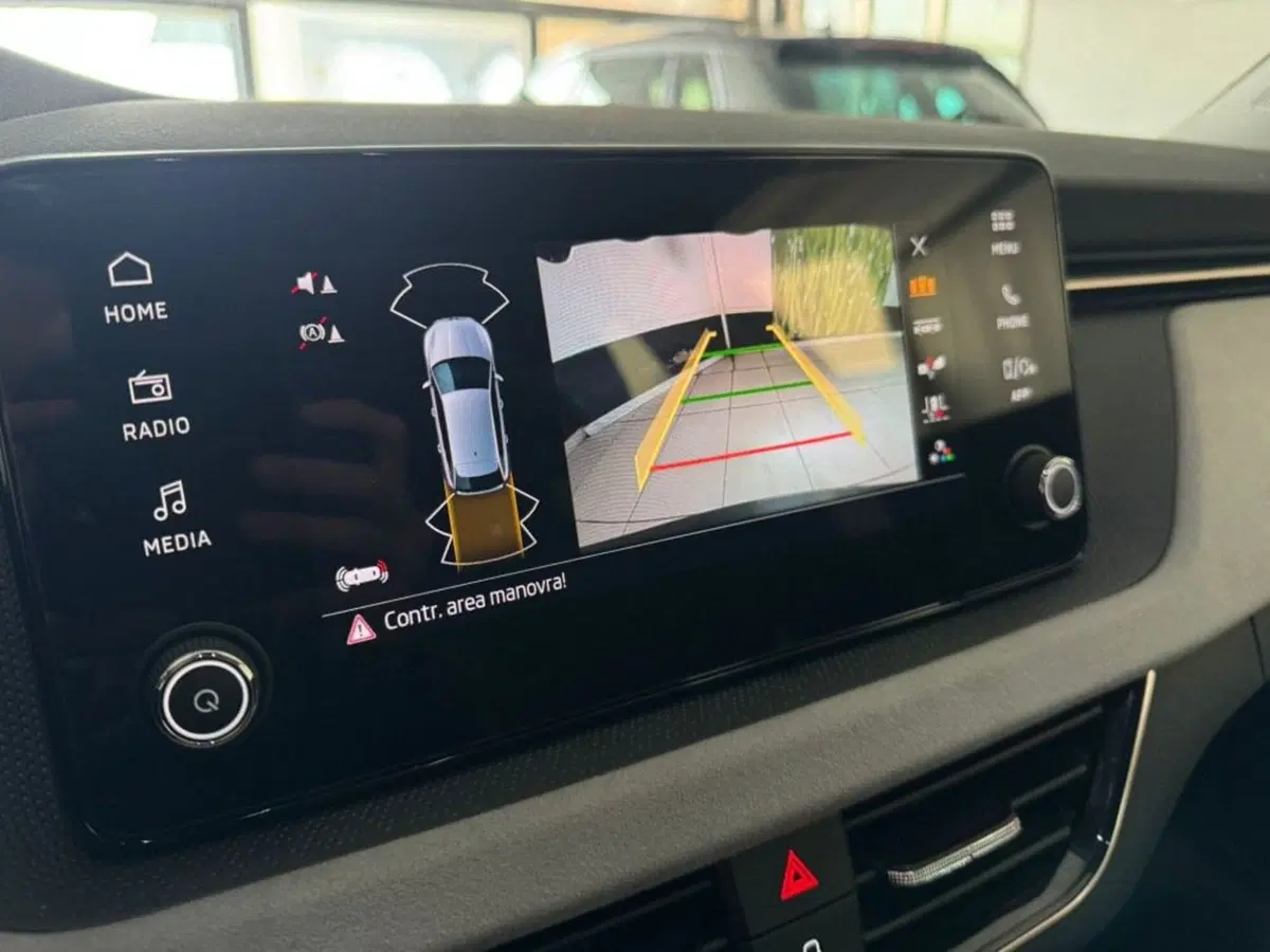 Skoda Scala usata a Salerno (20)
