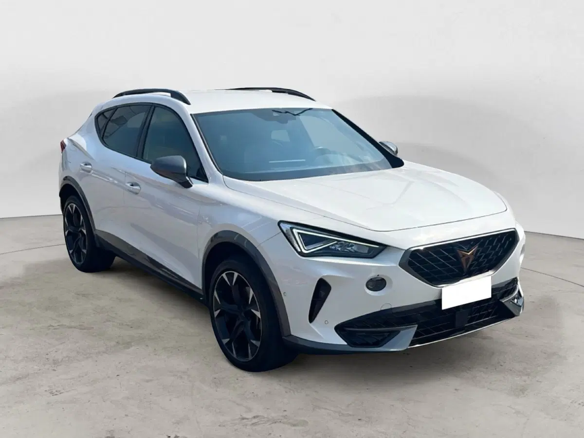 Cupra Formentor usata a Vicenza (2)
