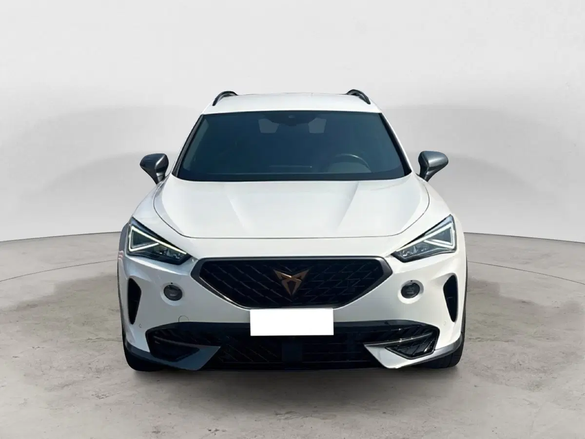 Cupra Formentor usata a Vicenza (7)
