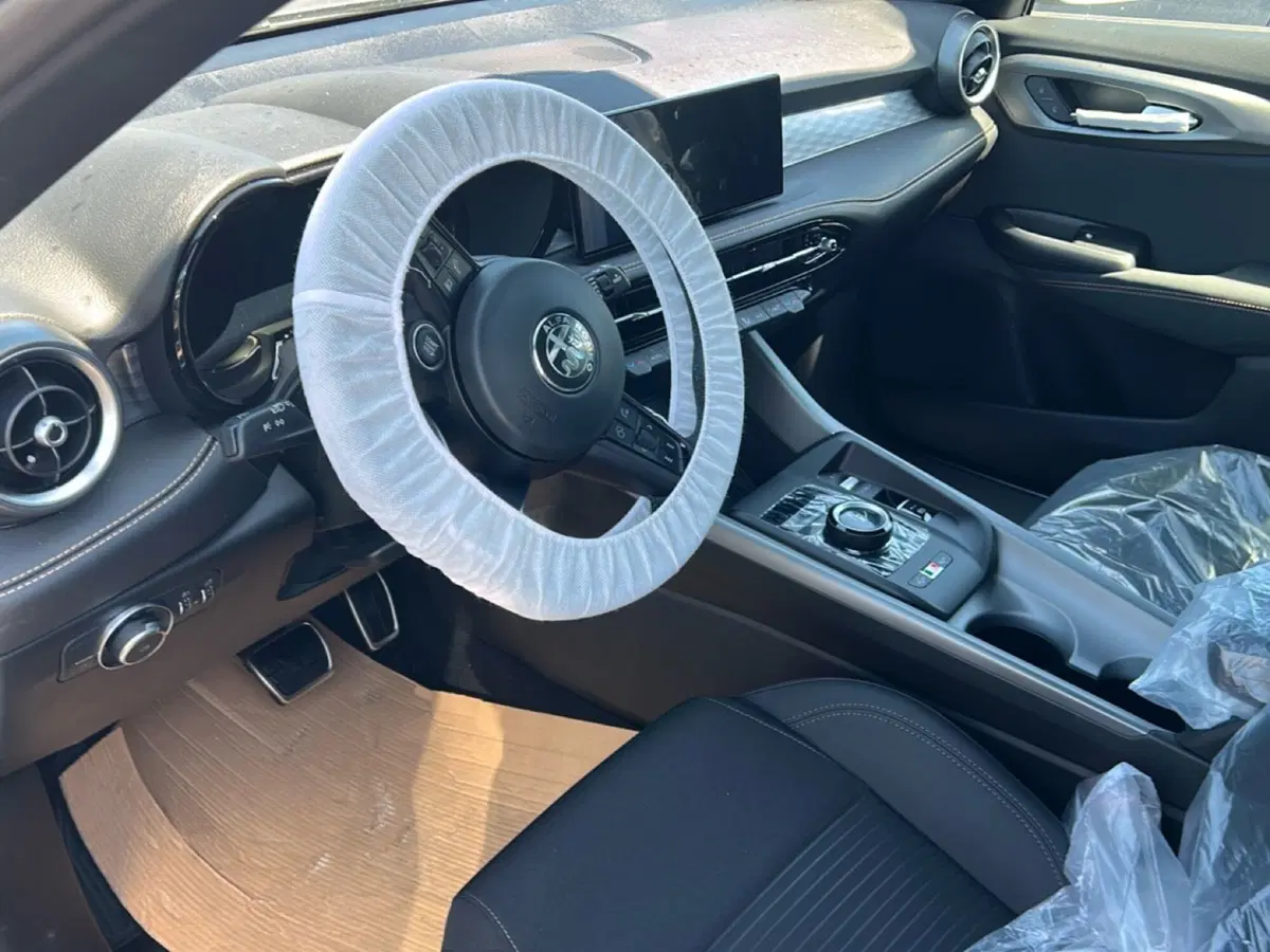 Alfa Romeo Tonale nuova a Frosinone (5)