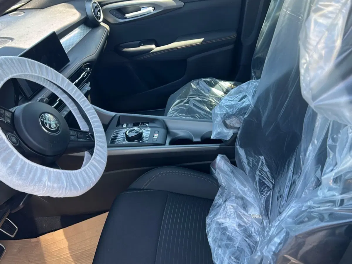 Alfa Romeo Tonale nuova a Frosinone (6)