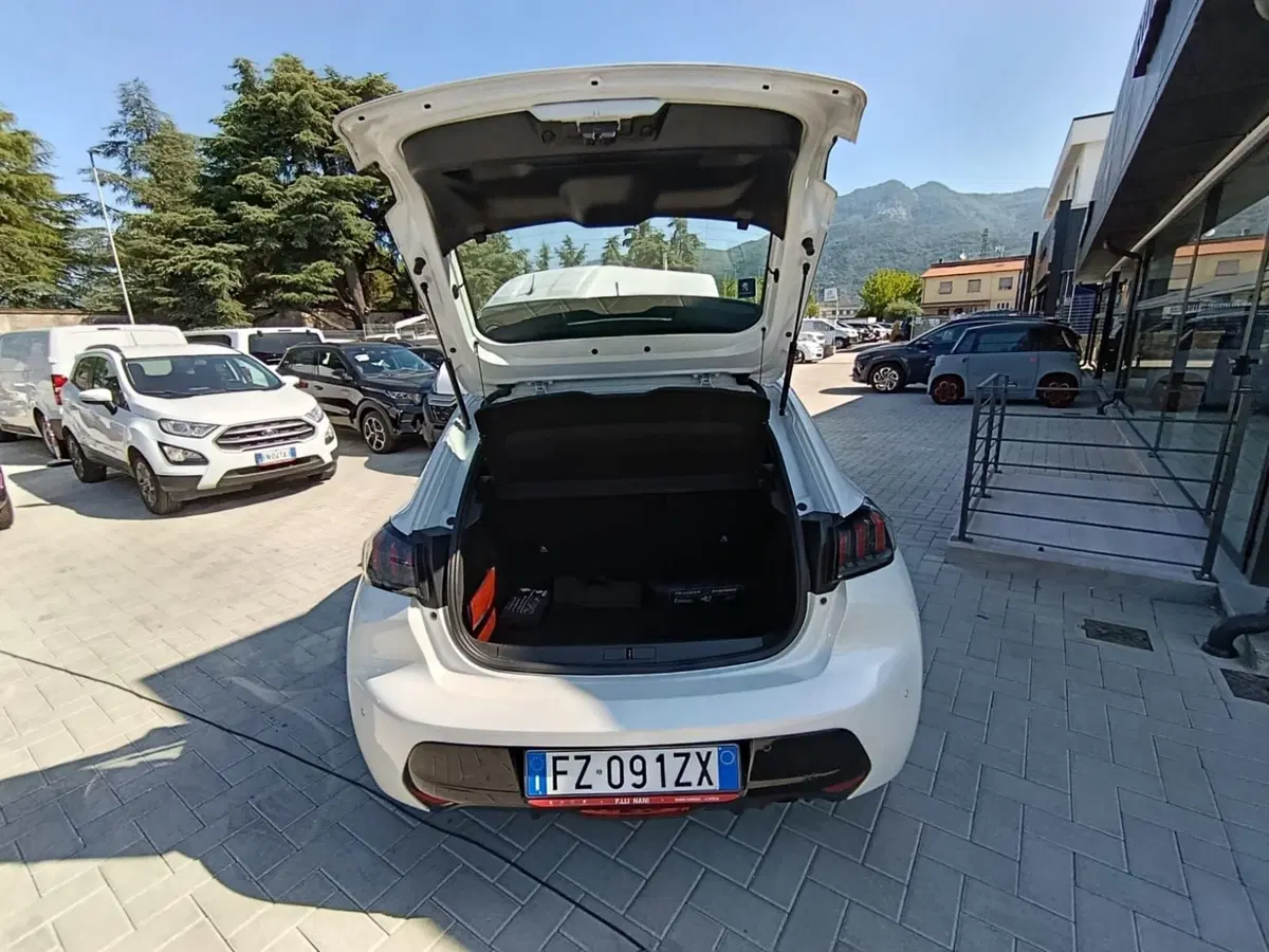 Peugeot 208 usata a Massa-Carrara (14)