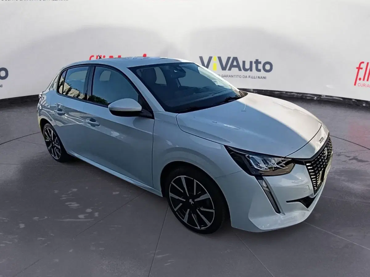 Peugeot 208 usata a Massa-Carrara (18)