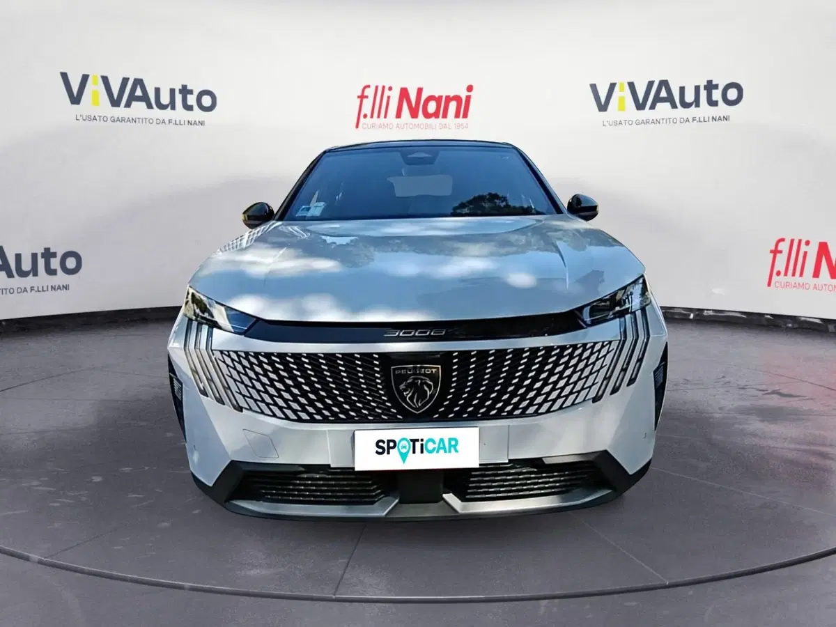 Peugeot 3008 usata a Massa-Carrara (3)