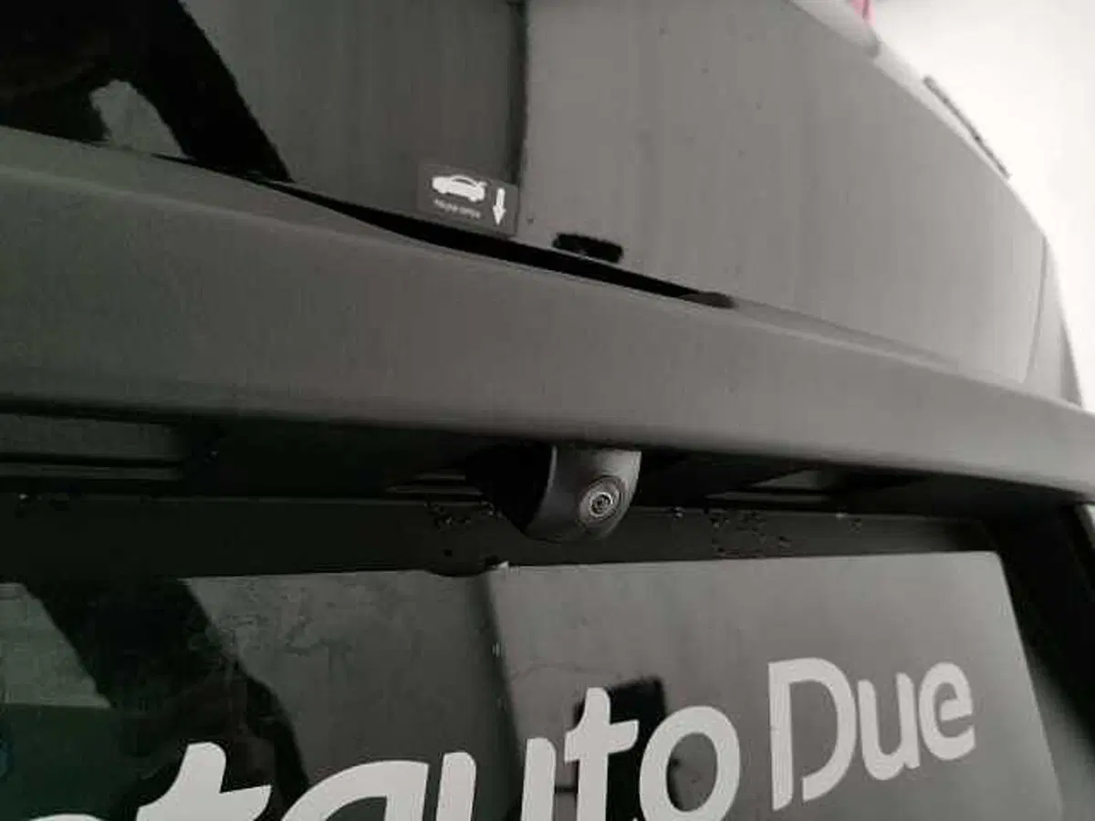 Byd Dolphin Surf nuova a Caserta (10)