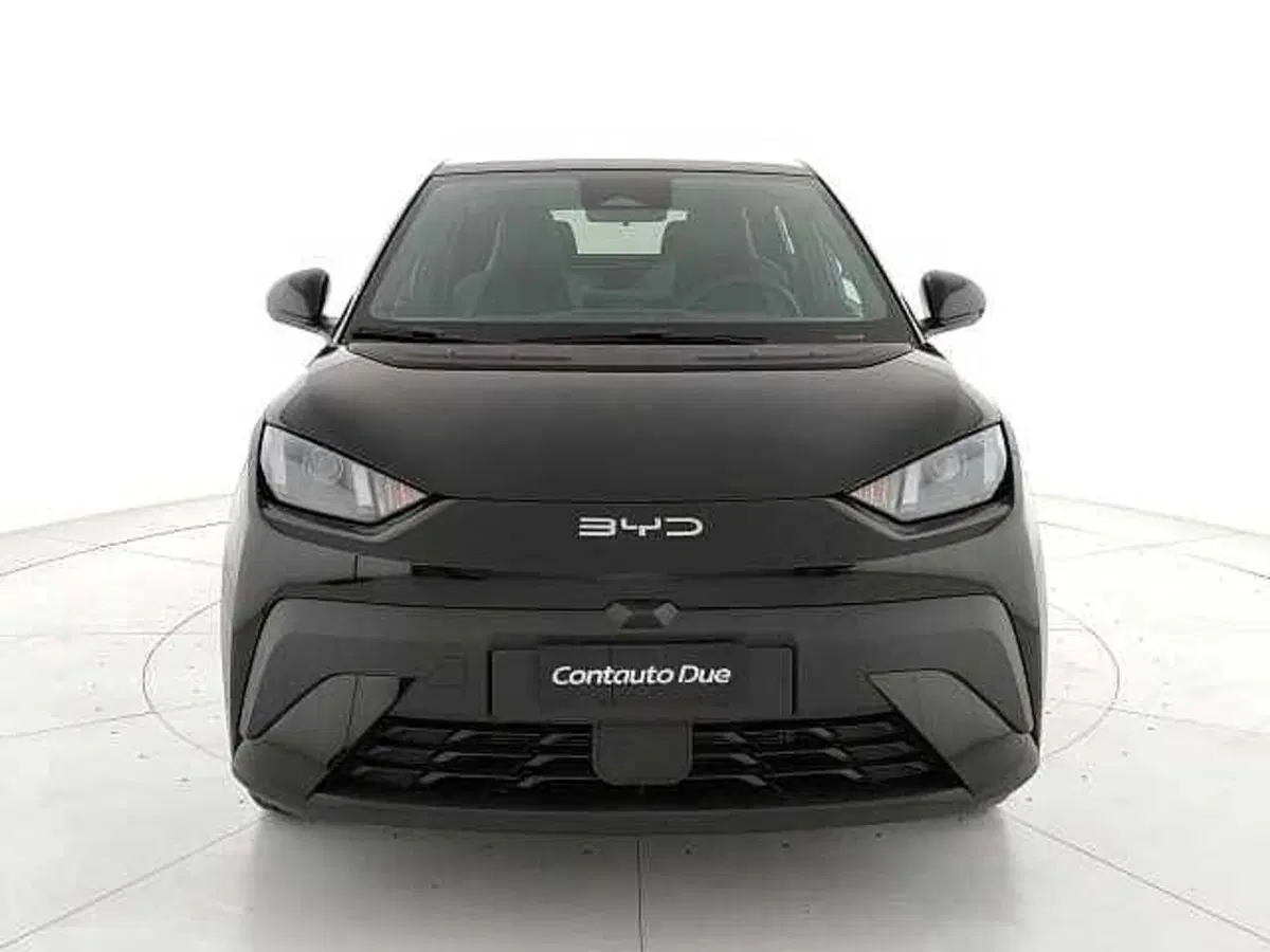 Byd Dolphin Surf nuova a Caserta (2)