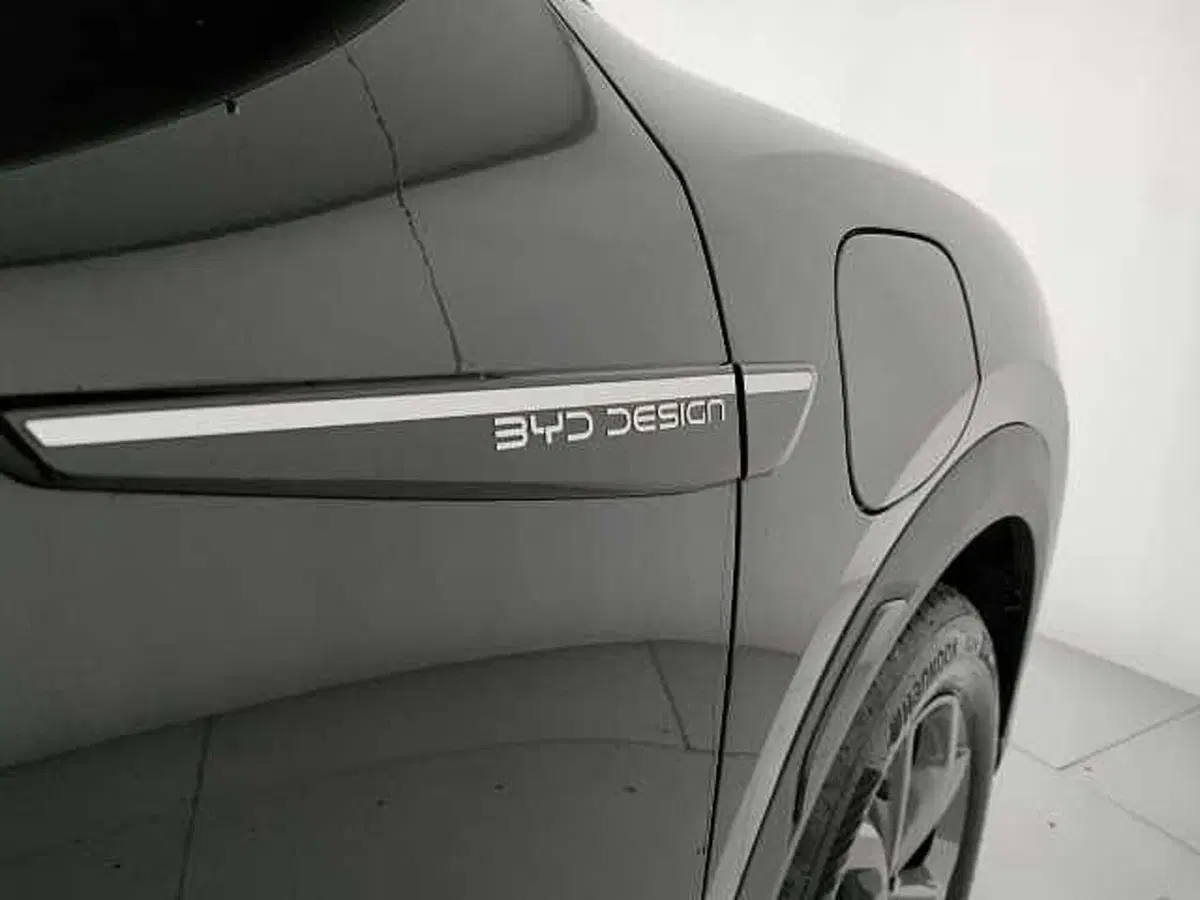Byd Atto 2 nuova a Caserta (20)