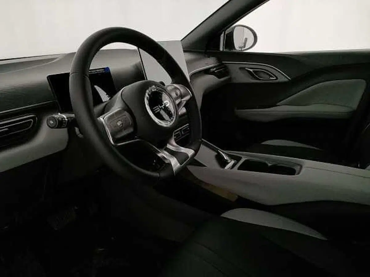 Byd Dolphin Surf nuova a Caserta (19)