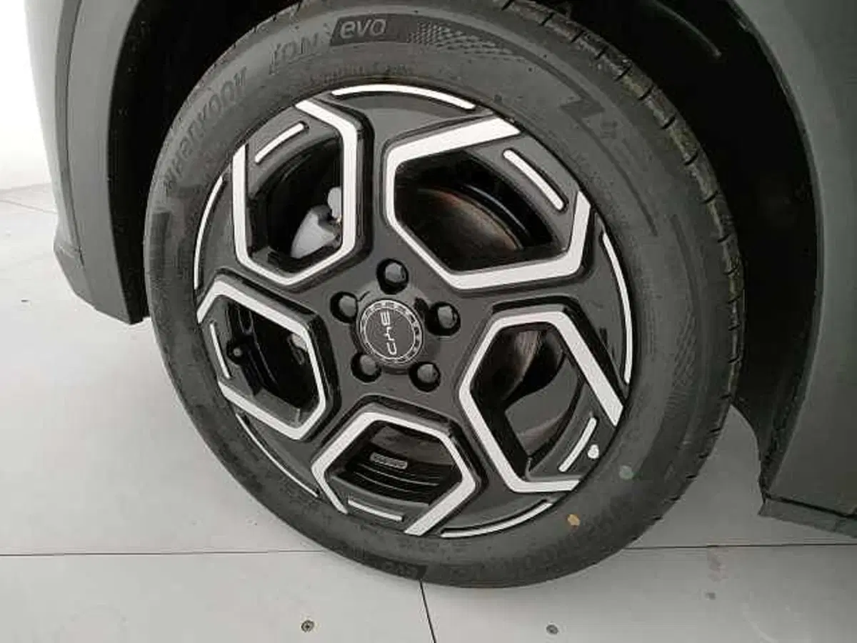 Byd Dolphin nuova a Caserta (17)