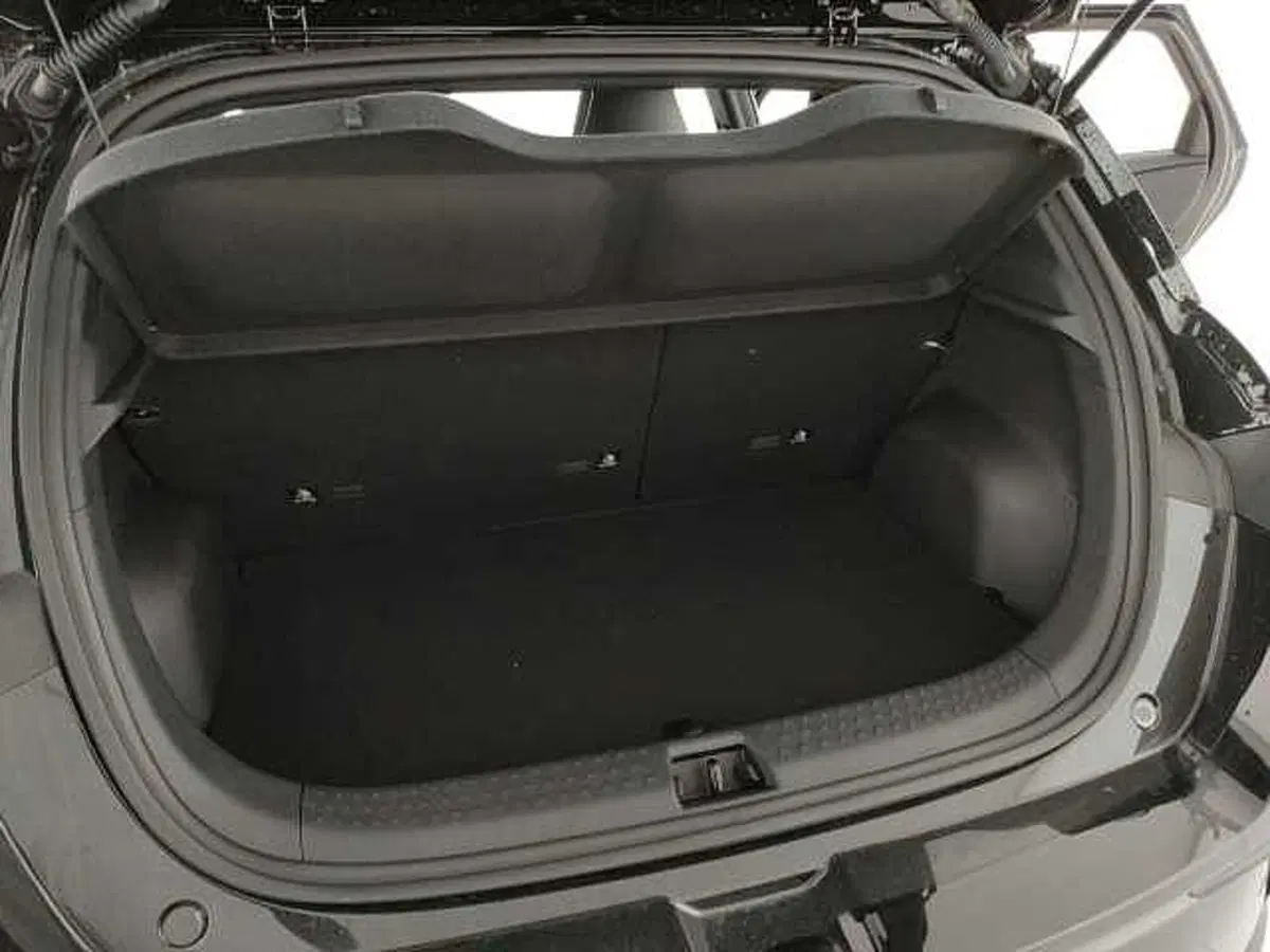 Byd Dolphin nuova a Caserta (8)