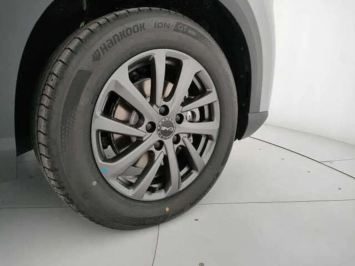 Byd Atto 2 DM-i nuova a Caserta (16)